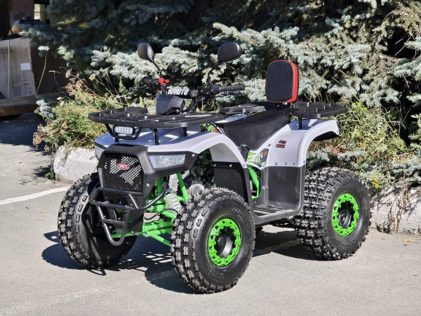 Квадроцикл Rmoto Lion 125 AR PRO