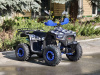 Квадроцикл Rmoto Lion 125 RR