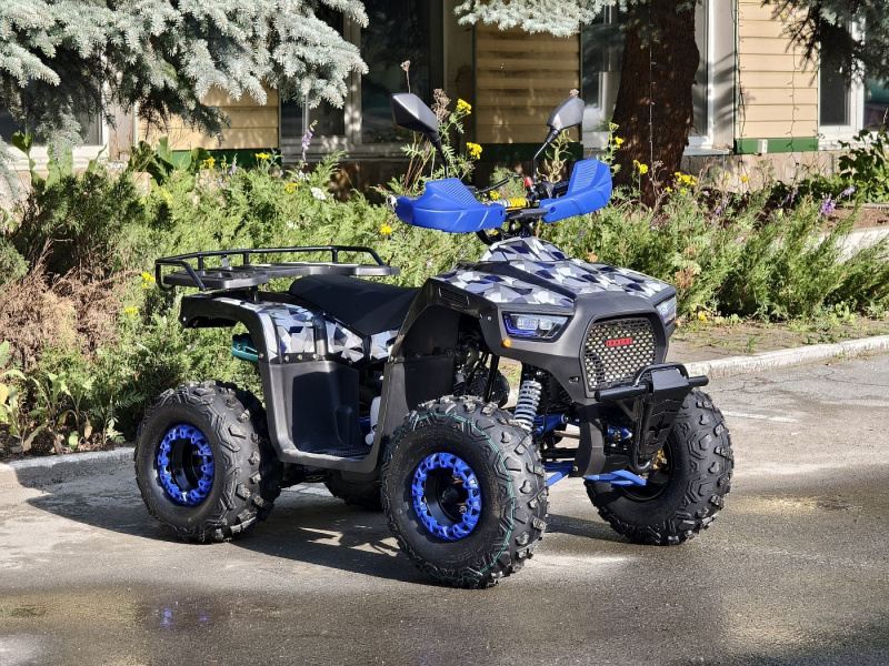 Квадроцикл Rmoto Lion 125 RR