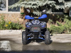 Квадроцикл Rmoto Lion 125 RR