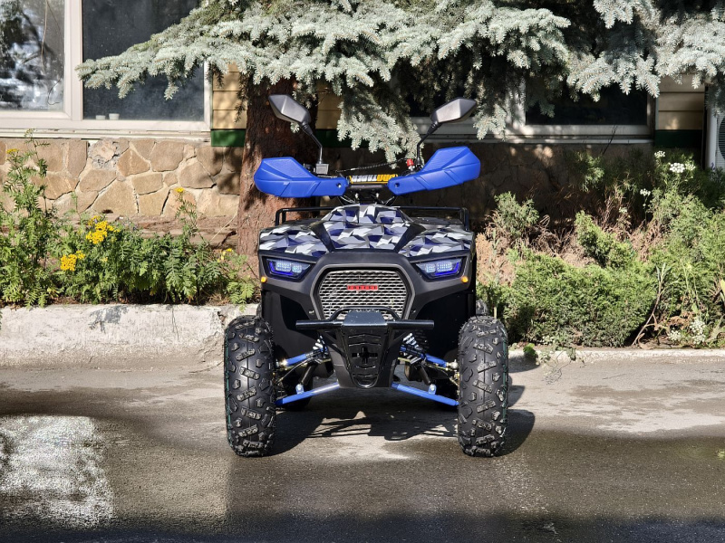 Квадроцикл Rmoto Lion 125 RR