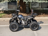 Квадроцикл Rmoto Lion 125 СС