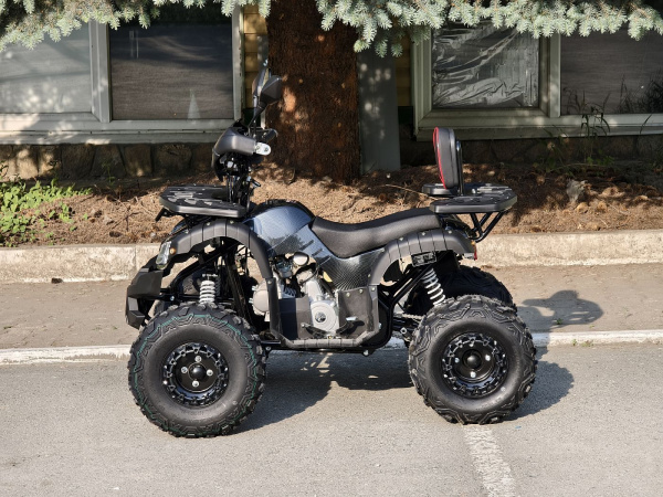 Квадроцикл Rmoto Lion 125 СС