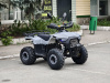 Квадроцикл Rmoto Lion 125 RR