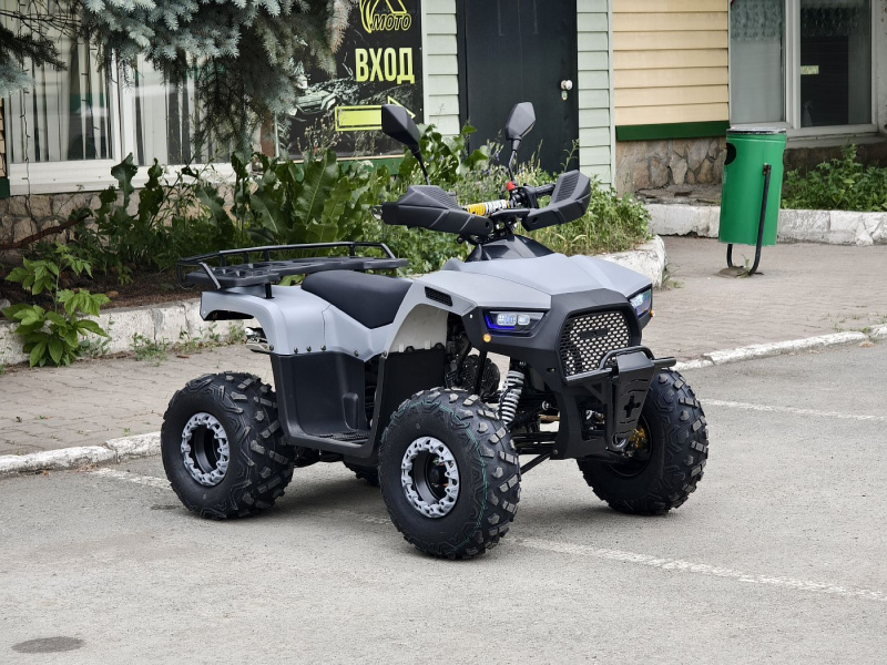 Квадроцикл Rmoto Lion 125 RR