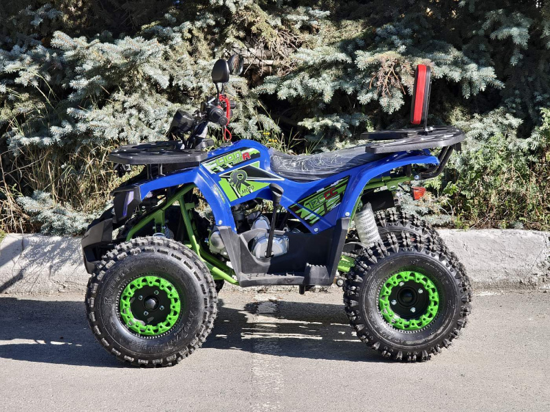 Квадроцикл Rmoto Lion 125 A