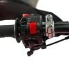Мотоцикл Regulmoto Holeshot Red Edition (4 valves) ПТС